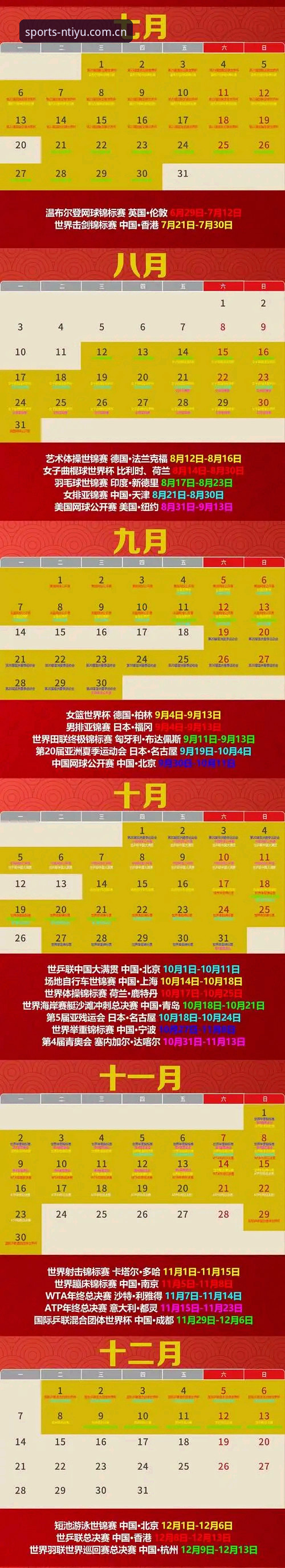 N体育官方网址手机版全面解析：从下载到流畅观赛的完整指南